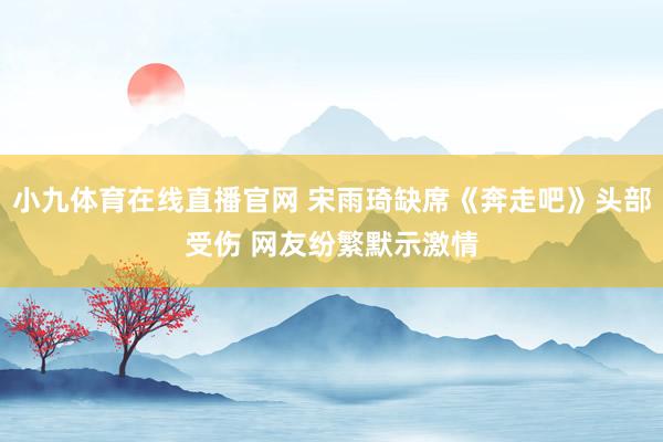 小九体育在线直播官网 宋雨琦缺席《奔走吧》头部受伤 网友纷繁默示激情