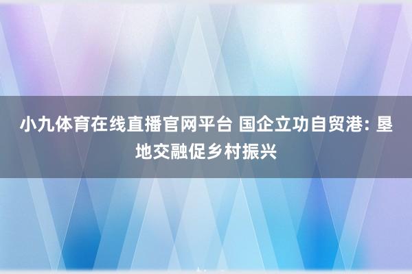 小九体育在线直播官网平台 国企立功自贸港: 垦地交融促乡村振兴