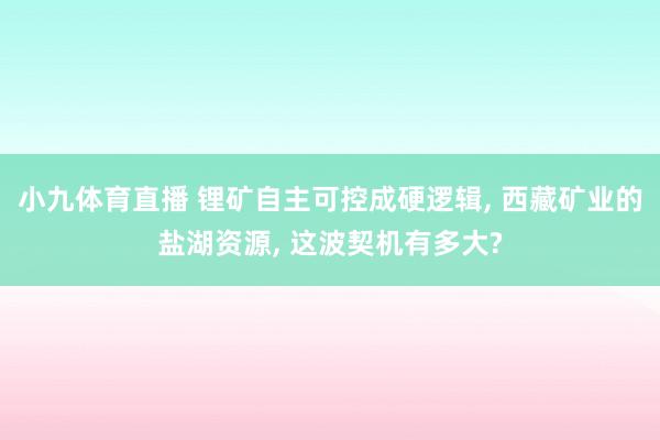 小九体育直播 锂矿自主可控成硬逻辑, 西藏矿业的盐湖资源, 这波契机有多大?