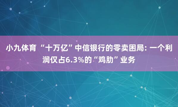 小九体育 “十万亿”中信银行的零卖困局: 一个利润仅占6.3%的“鸡肋”业务