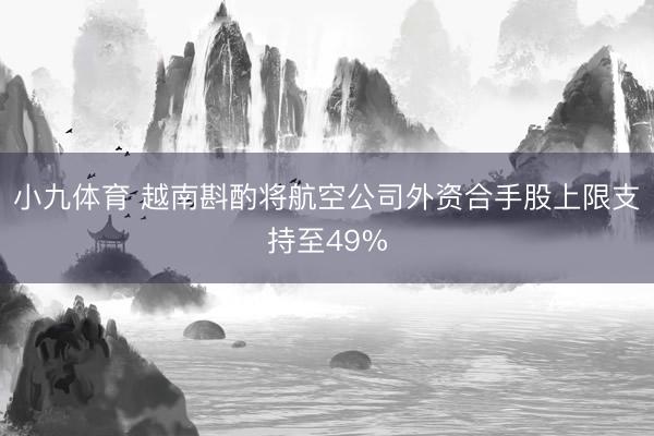 小九体育 越南斟酌将航空公司外资合手股上限支持至49%