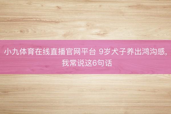 小九体育在线直播官网平台 9岁犬子养出鸿沟感， 我常说这6句话