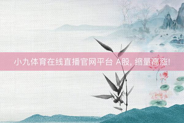 小九体育在线直播官网平台 A股， 缩量高涨!
