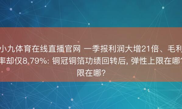 小九体育在线直播官网 一季报利润大增21倍、毛利率却仅8.79%: 铜冠铜箔功绩回转后， 弹性上限在哪?