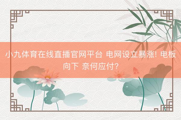 小九体育在线直播官网平台 电网设立暴涨! 电板向下 奈何应付?
