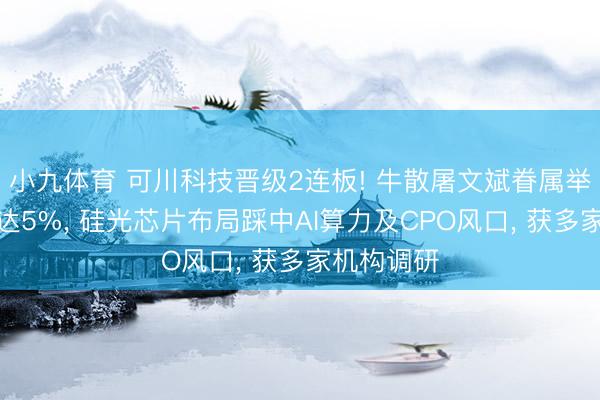 小九体育 可川科技晋级2连板! 牛散屠文斌眷属举牌合手股达5%， 硅光芯片布局踩中AI算力及CPO风口， 获多家机构调研