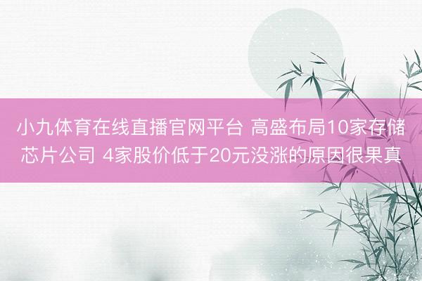 小九体育在线直播官网平台 高盛布局10家存储芯片公司 4家股价低于20元没涨的原因很果真