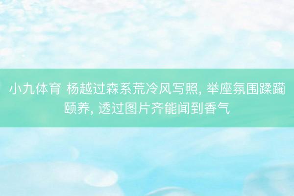 小九体育 杨越过森系荒冷风写照， 举座氛围蹂躏颐养，<a href=