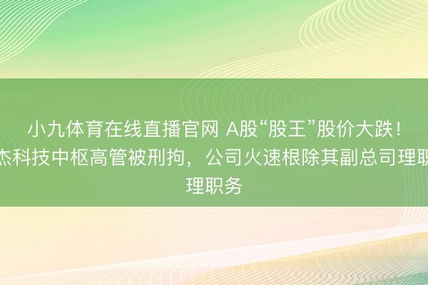 小九体育在线直播官网 A股“股王”股价大跌！源杰科技中枢高管被刑拘，公司火速根除其副总司理职务