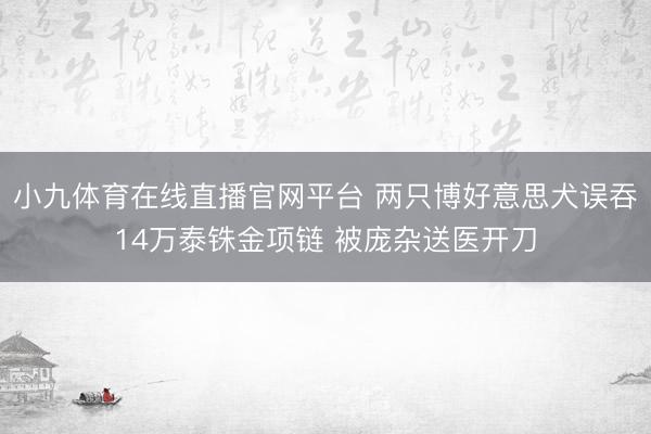 小九体育在线直播官网平台 两只博好意思犬误吞14万泰铢金项链 被庞杂送医开刀