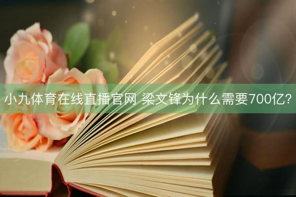 小九体育在线直播官网 梁文锋为什么需要700亿？