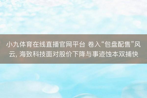 小九体育在线直播官网平台 卷入“包盘配售”风云， 海致科技面对股价下降与事迹蚀本双捕快
