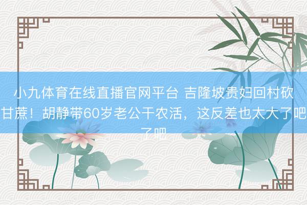 小九体育在线直播官网平台 吉隆坡贵妇回村砍甘蔗！胡静带60岁老公干农活，这反差也太大了吧