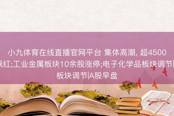 小九体育在线直播官网平台 集体高潮， 超4500只个股飘红;工业金属板块10余股涨停;电子化学品板块调节|A股早盘