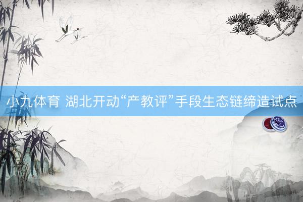 小九体育 湖北开动“产教评”手段生态链缔造试点