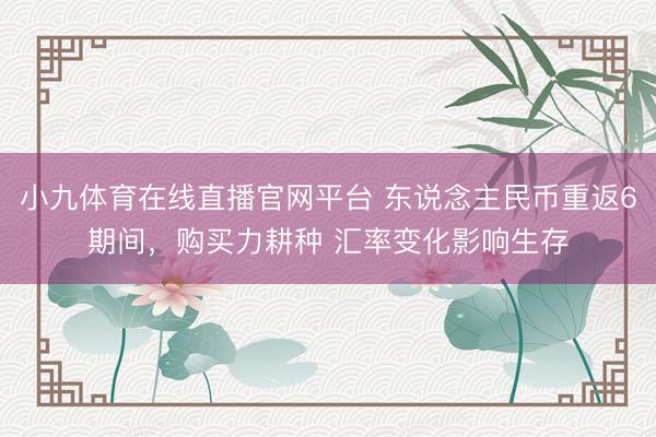 小九体育在线直播官网平台 东说念主民币重返6期间，购买力耕种 汇率变化影响生存